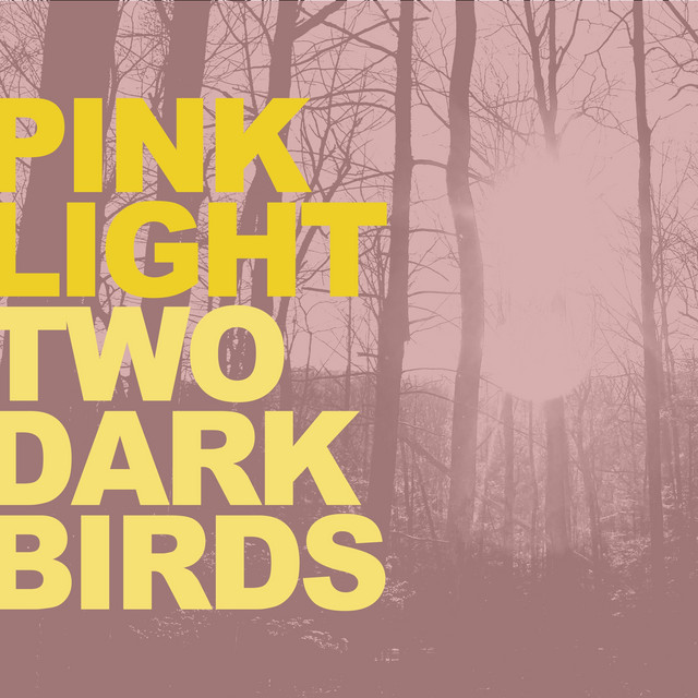 Hear Two Dark Birds’ newest single, “Pink Light” – Aipate