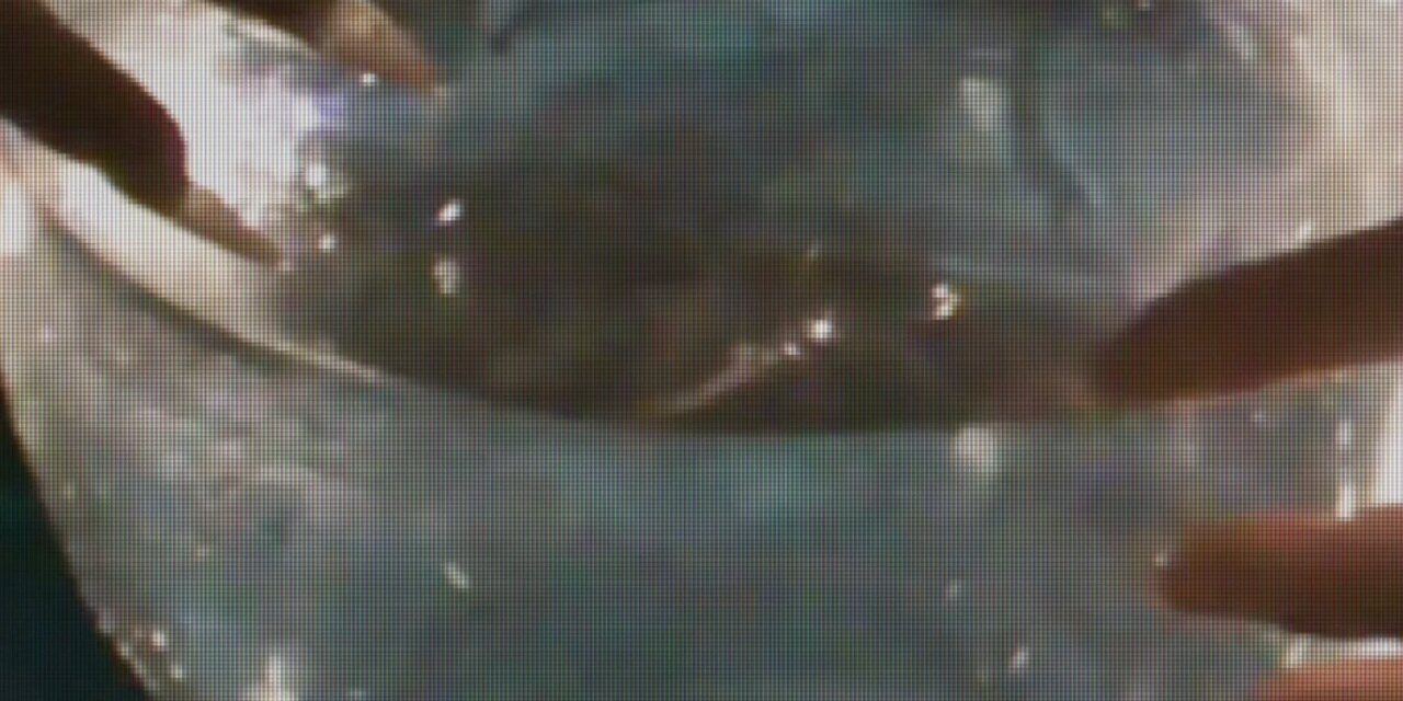 Vision by Snake Orange Cake — BlackPlastic.co.uk